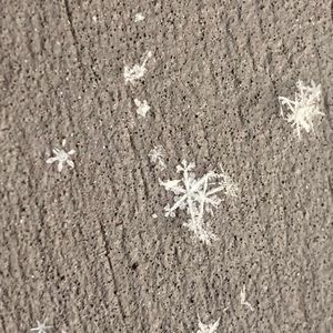 Meet your Posher, Emmey